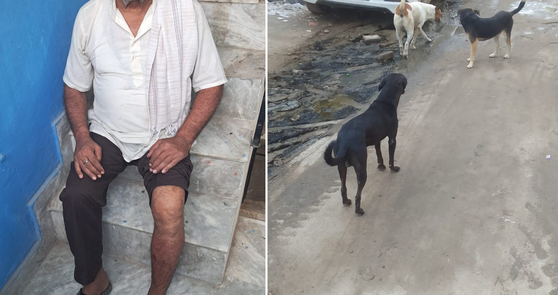 सडक़ किनारे टहल रहे बुजुर्ग पर स्ट्रीट डॉग्स के झुण्ड ने हमला